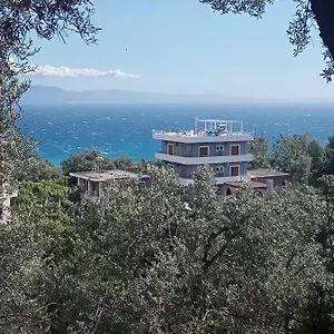 Adrian Agustin , Lukovë Albania